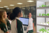 Royal Grammar School Guildford Dubai — foto 4